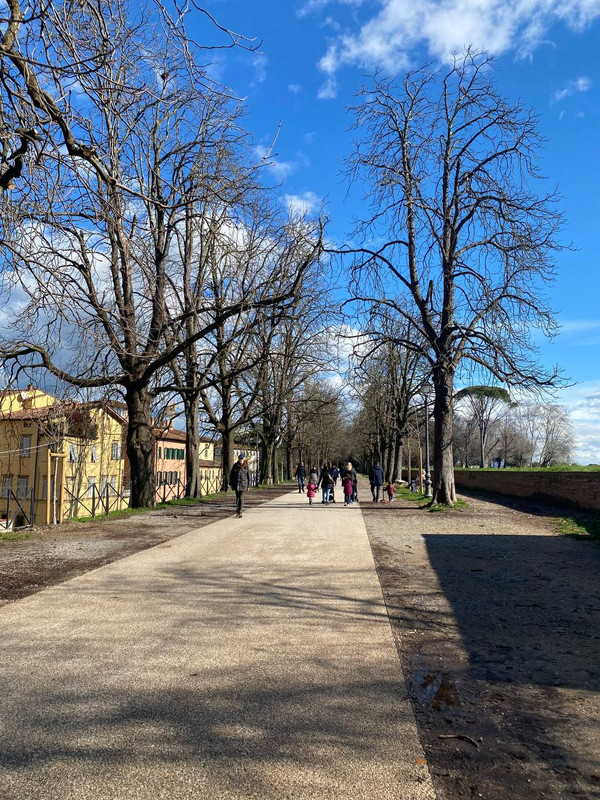 photo 2026 02 15 16 20 10