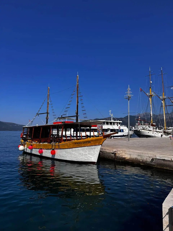Alexandra Ships Boat Tour