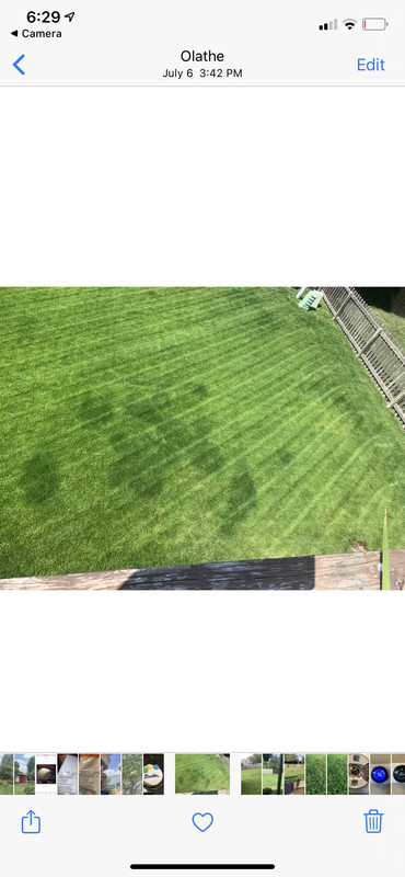 78CF2E59-5132-44BB-BF70-B9A1E365C440