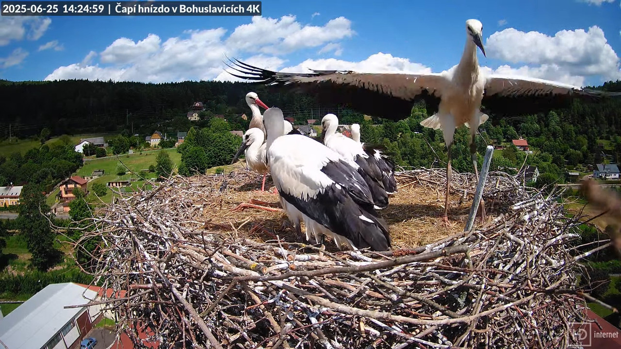 Tiešraide no KARA uzņēmuma stārķu skursteņa Bohuslavicē netālu no Trutnovas 14-19-25 screenshot
