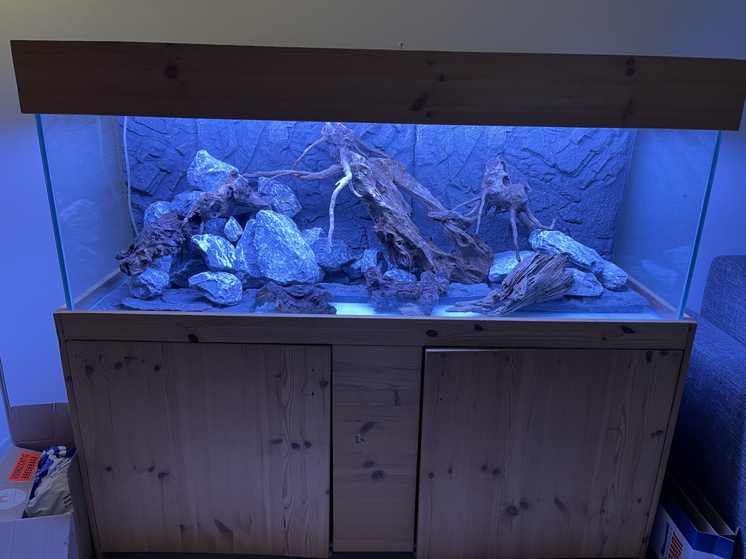 A24C99A5-D2A3-43E3-8796-FCDD4E7FCE20