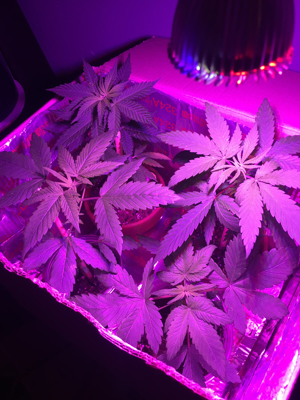 CC86E705-3722-4F7D-BDCA-DA3A74C0FEED