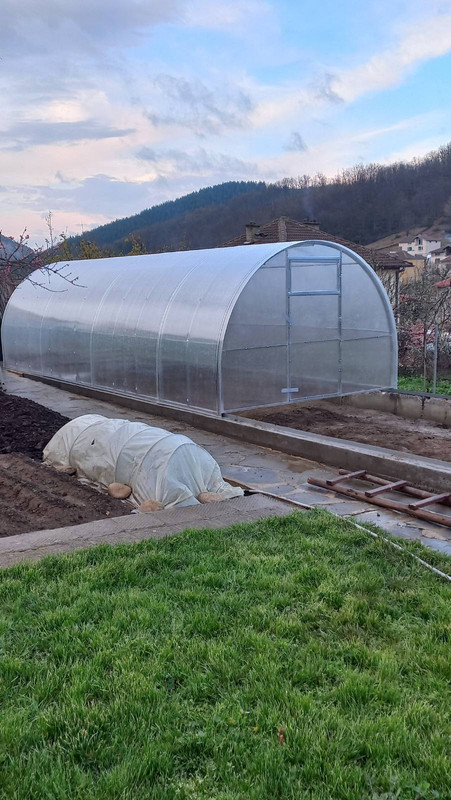 viber_изображение_2025-03-29_18-24-31-514