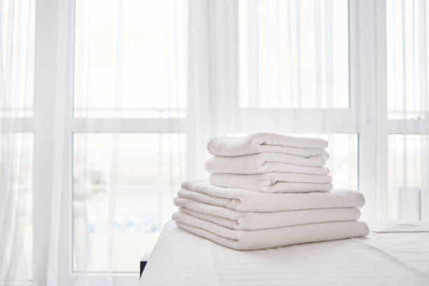 vansilkhome