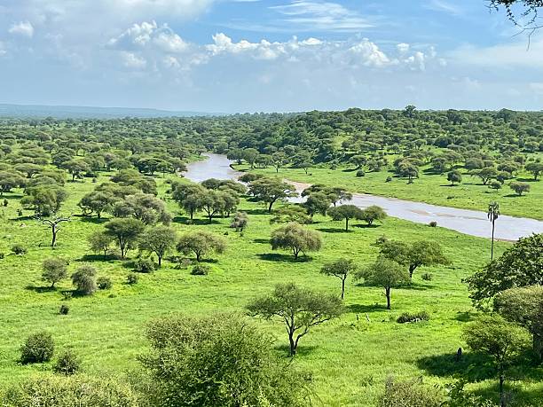 safari in Tanzania
