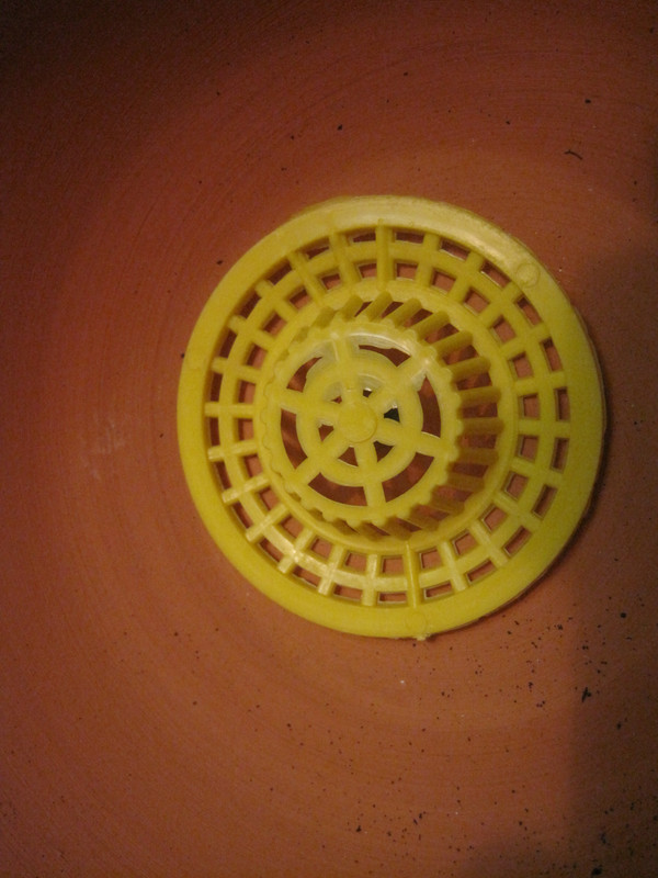 Отверстие прикрывает ситечко