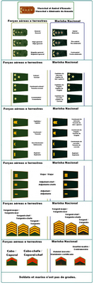  Grades militaires des armées fédérales et fédérées d’Alguarena.