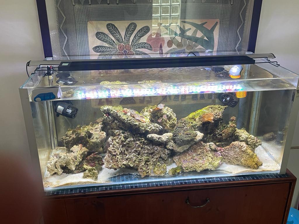 WhatsApp Image 2021-11-02 at 13.38.14 (4)