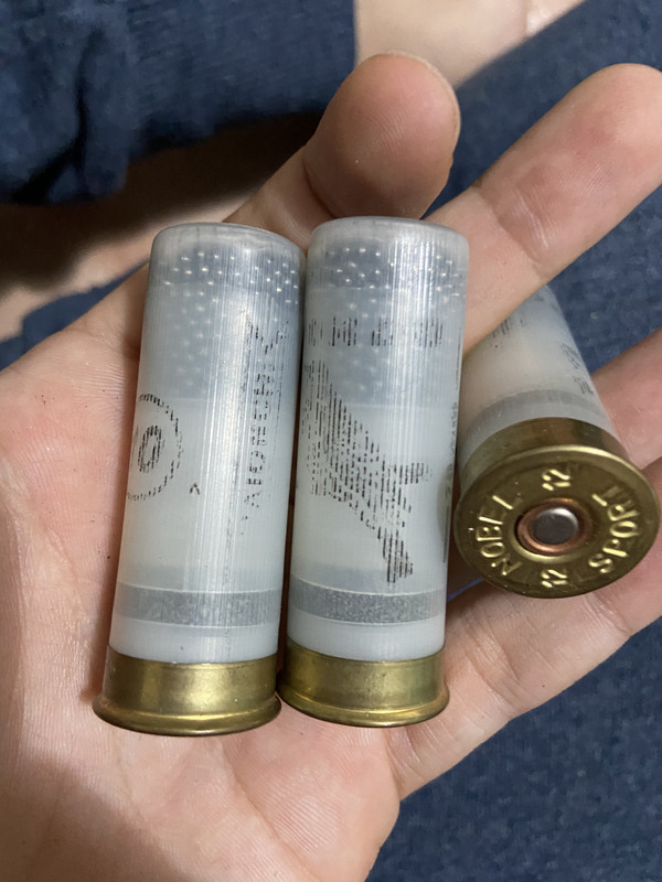 009240D3-69E6-424D-B8FD-EB648505A1DF