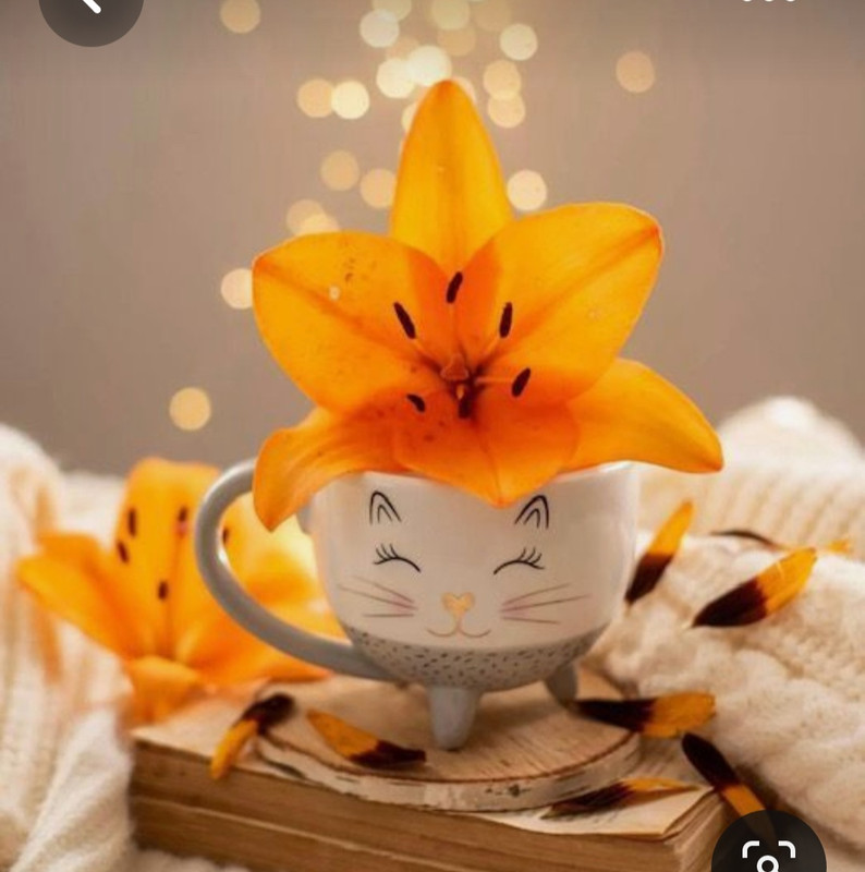 Screenshot_20230705_223216_Pinterest