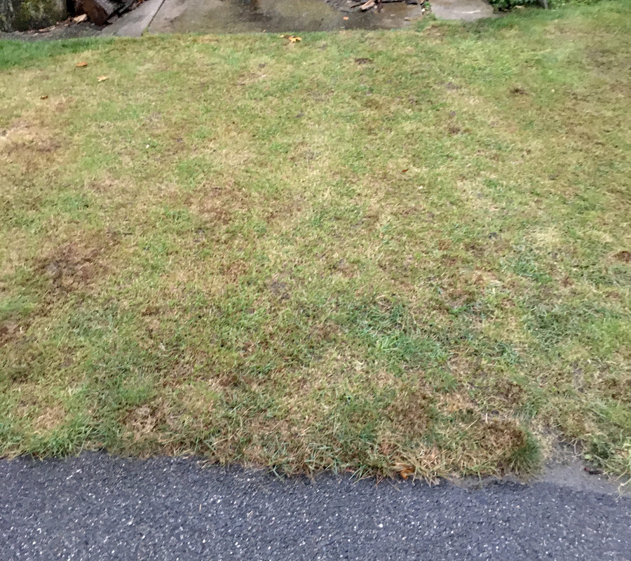 BDB980A6-7481-42D2-A8D5-23CAD387743A