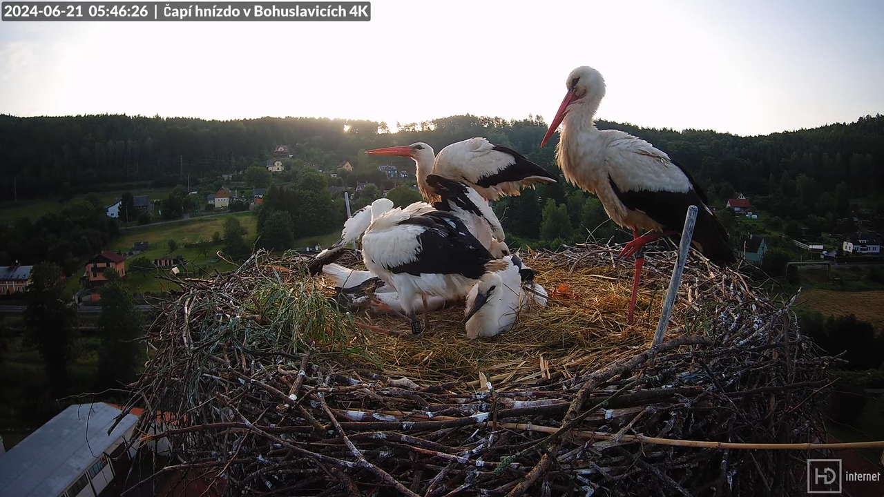 Tiešraidē no uzņēmuma KARA stārķa skursteņa Bohuslavicē pie Trutnovas 1-58-26 screenshot