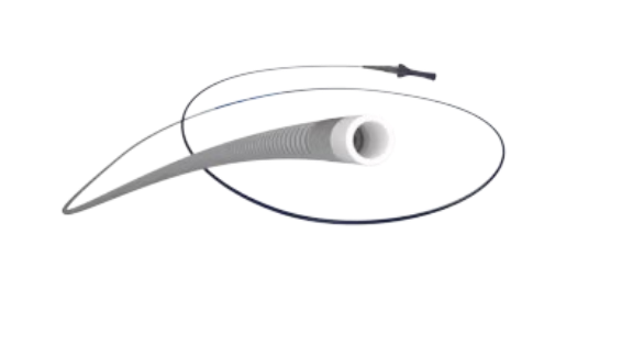 Marksman™ Catheter
