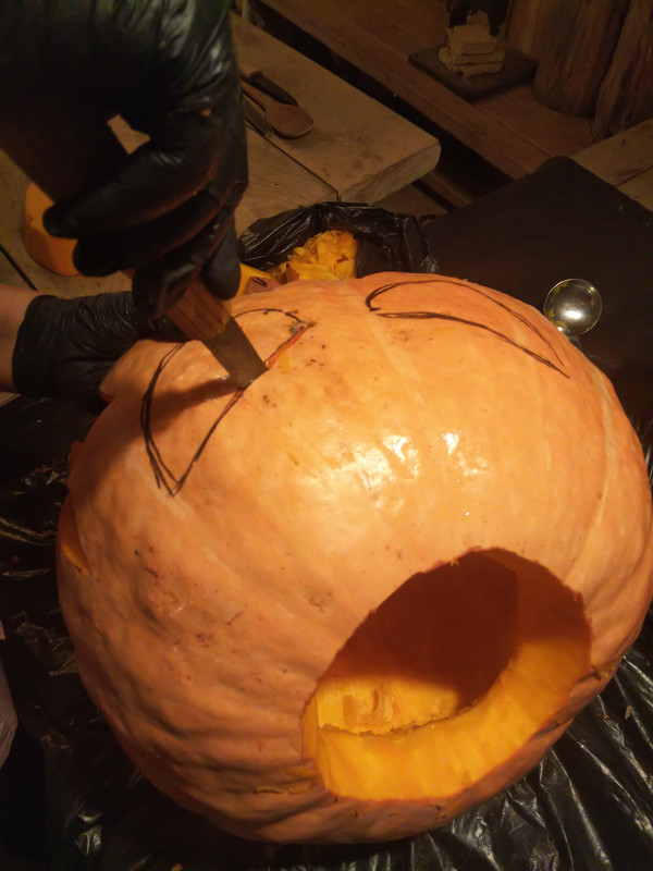 DSC-0098.jpg
