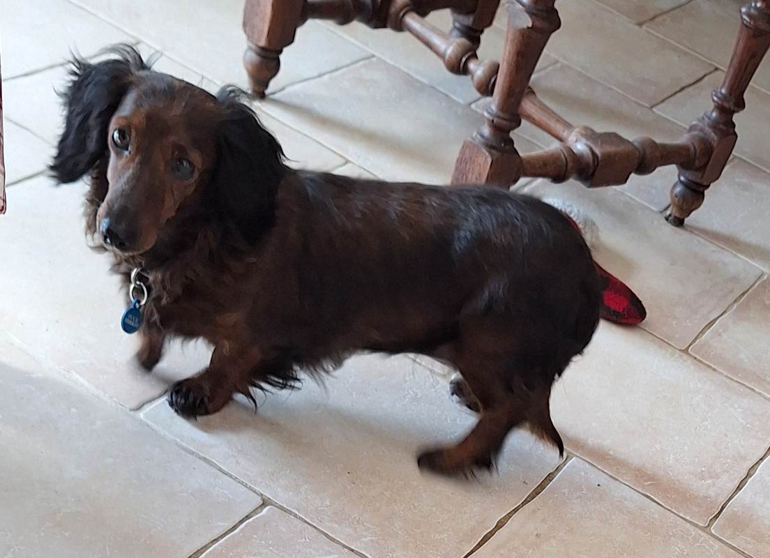 [Image: 20250201-133045.jpg]