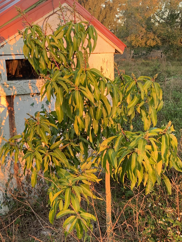 AF27CD60-D5D5-441A-821C-5E0DE553FF8B