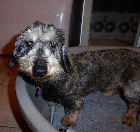 [Image: P1050697.jpg]