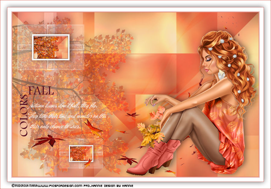 [Bild: fallcolorskniri.jpg]