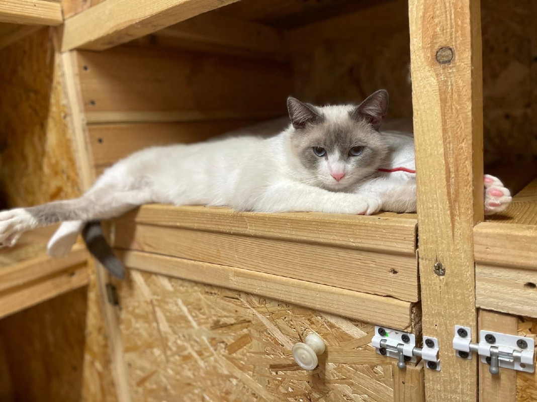 СеменПетрович1