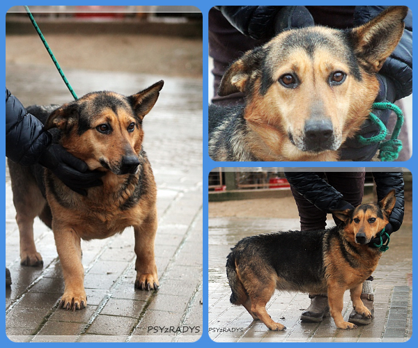 BeFunky-collage (24)