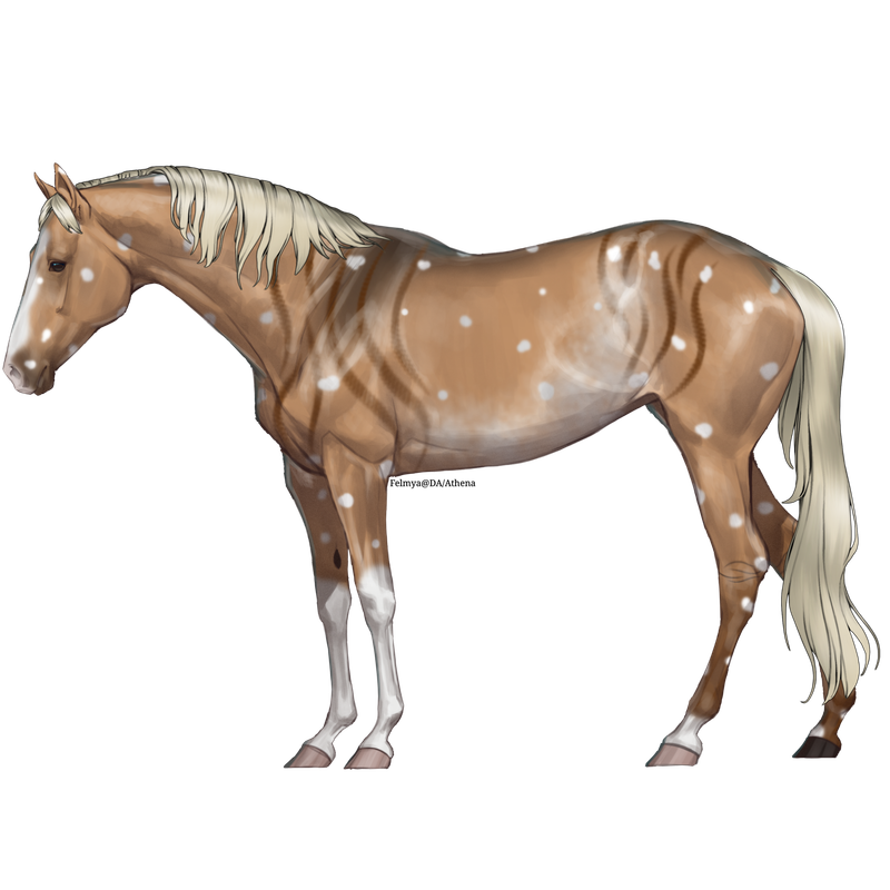 Untitled88-20250615172227.png