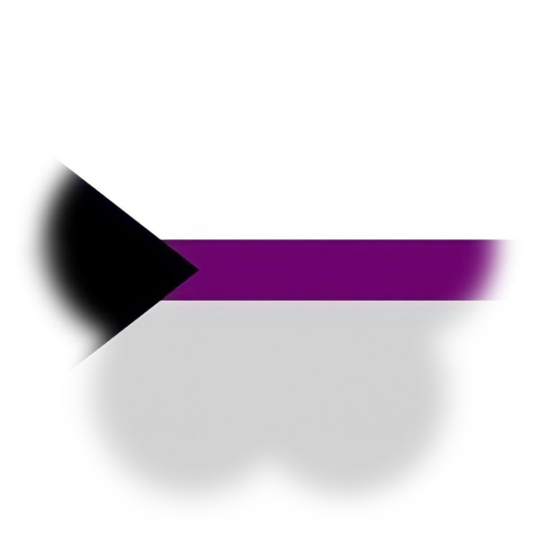 demisexual