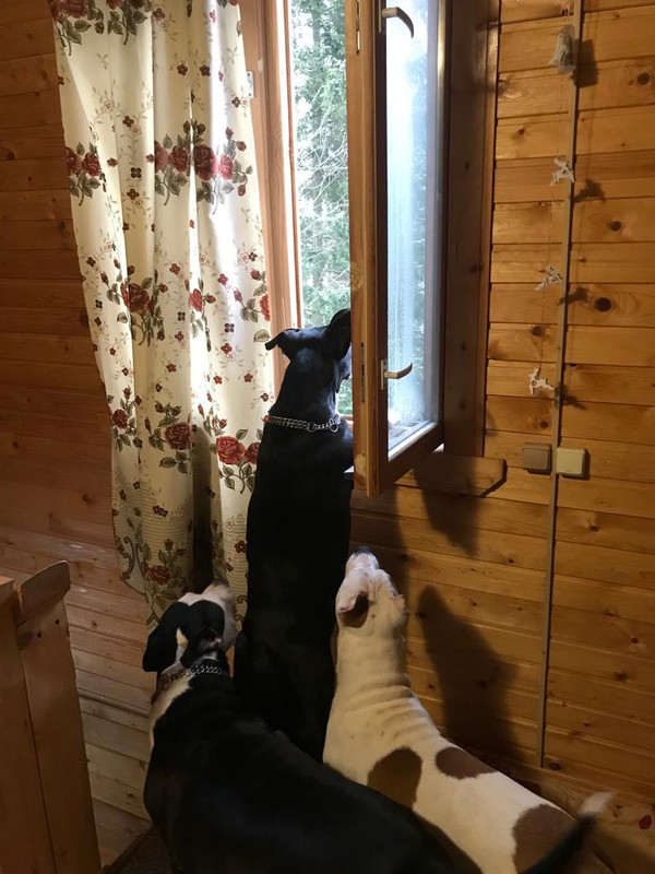 0D97EA4B-C136-432E-A414-0EEDE28FB1BA