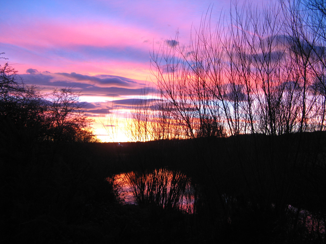 E9C28A34-ADE5-49E5-8786-8F146C021ED6