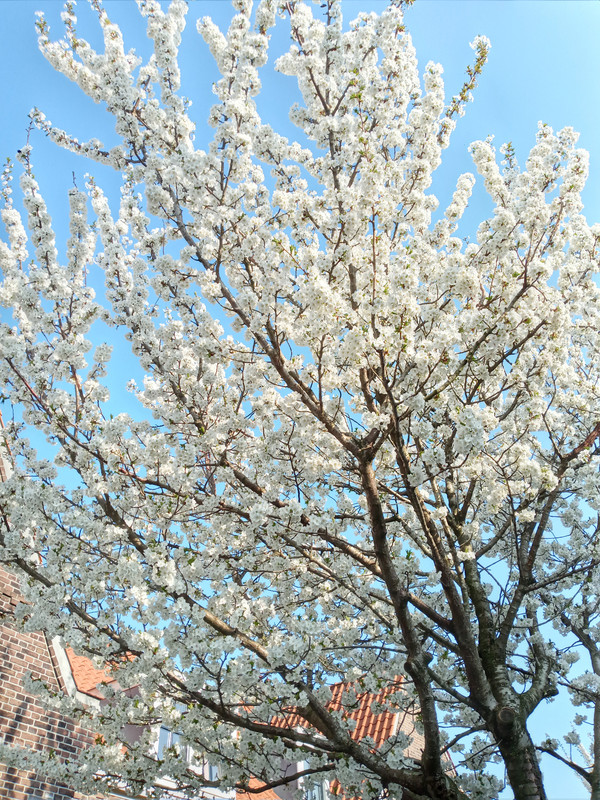 [Image: 20220322-163919.jpg]