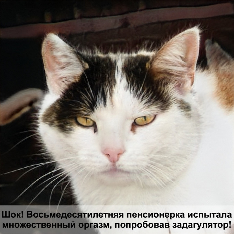 самая крупная кошка хищная