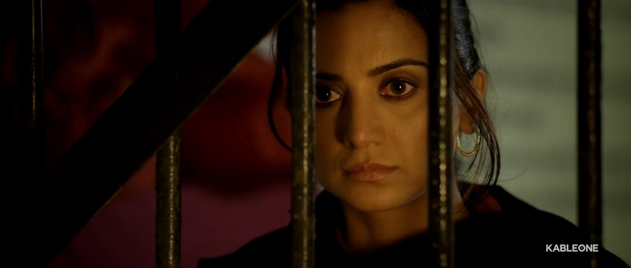 Needhi Singh 2016 WebRip [Punjabi] 480p, 720p ESub Screenshot