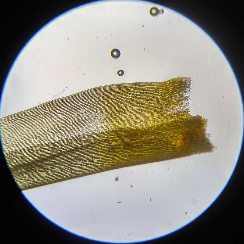 IMG 20250614 111244 HDR