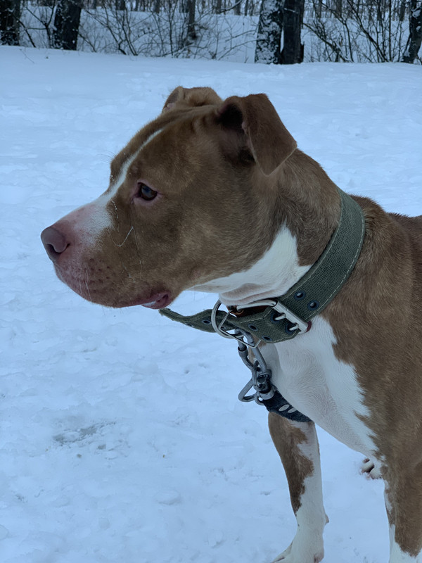 414AFB8B-D33C-4DED-9D95-2D15759B0748