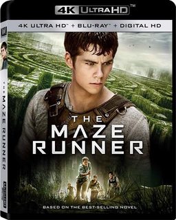 Maze Runner 1 - Il Labirinto (2014) FullHD 1080p UHDrip HDR10 HEVC ITA/ENG - FS