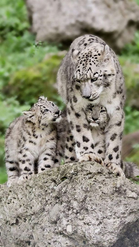 8F5F224D-A8DD-431E-BA1C-FB55856ACCFB