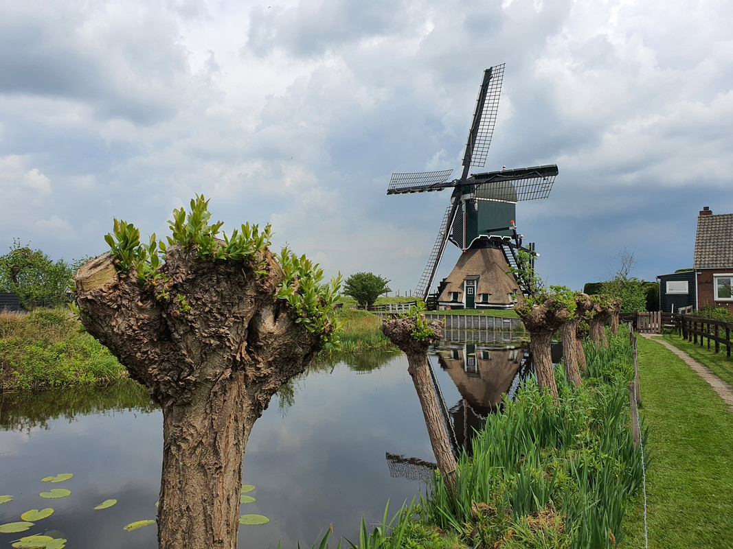 Pieter Zuijkerbuijk, Oukoopse Molen 08 Reewijk 03-05-2020