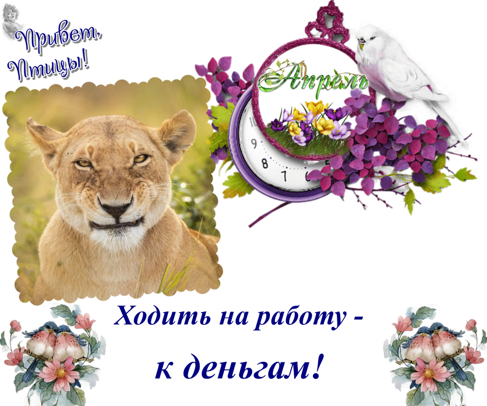 https://i.postimg.cc/pXmx9fD2/18-04.png