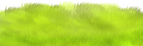 KBK_PrettyRabbit (43)