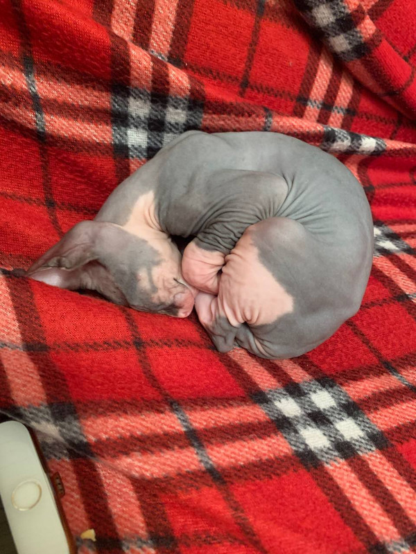 024FE87E-6EDA-4932-B5FE-DD95885A885A