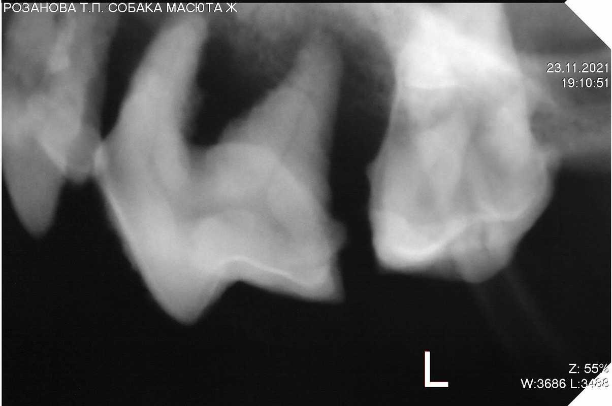 0E3C9474-51AB-46B4-A877-0D272B3B056D