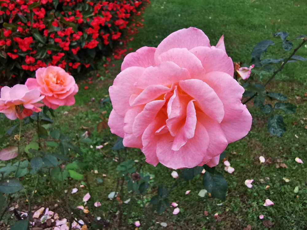 https://i.postimg.cc/pXnTkdMr/IMG-20231016-103313.jpg