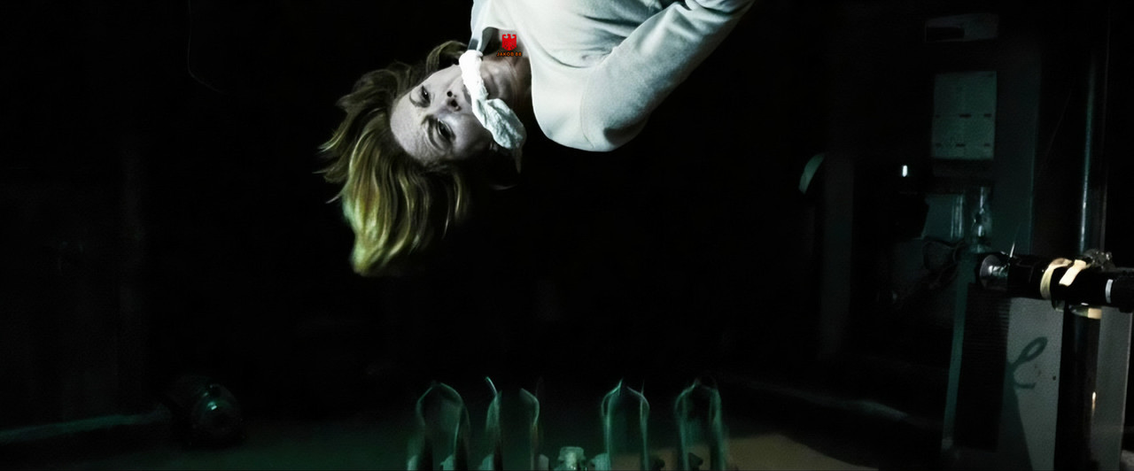 Diane Lane 14 - Untraceable 2008