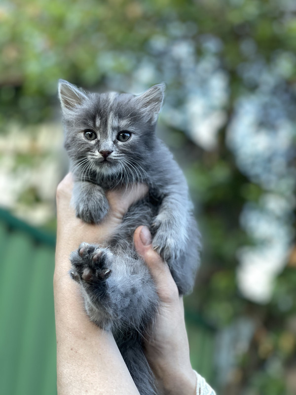 32DB5FAE-05CA-4061-8C77-1FC2272AE6E8