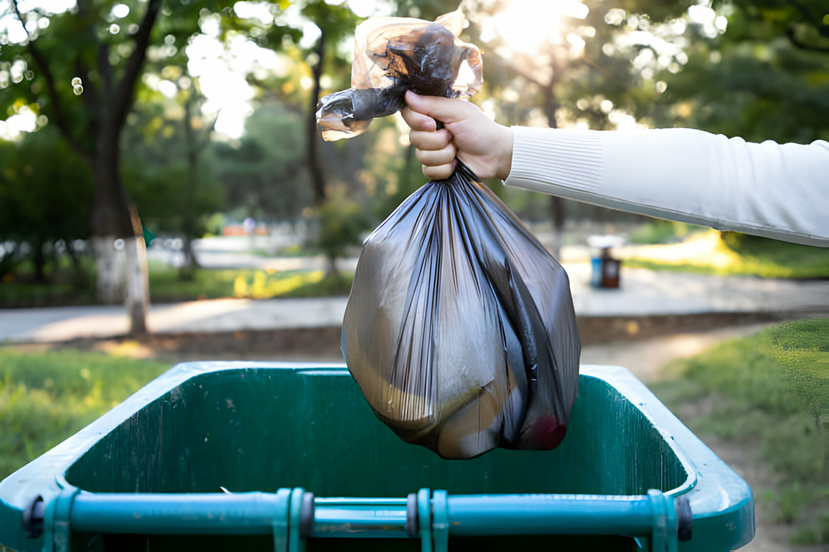 garden rubbish removal