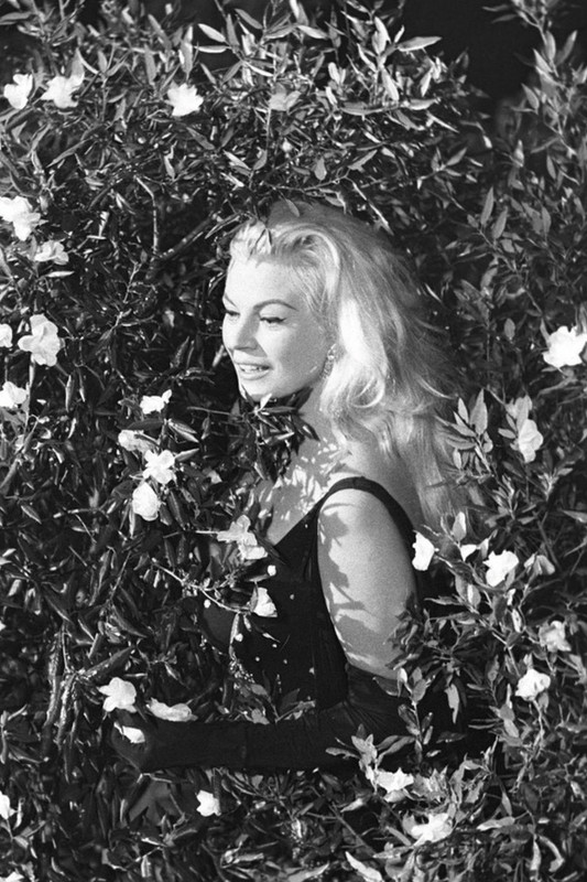 anita_ekberg_md72
