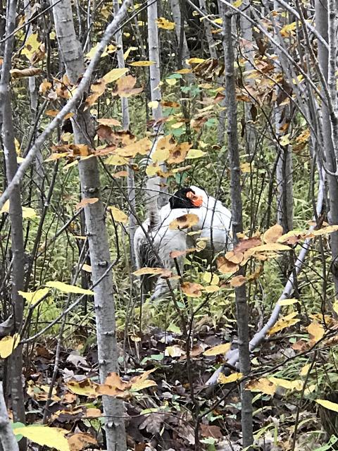 5FC58233-3D0C-4903-B90B-B114CC5FEF28