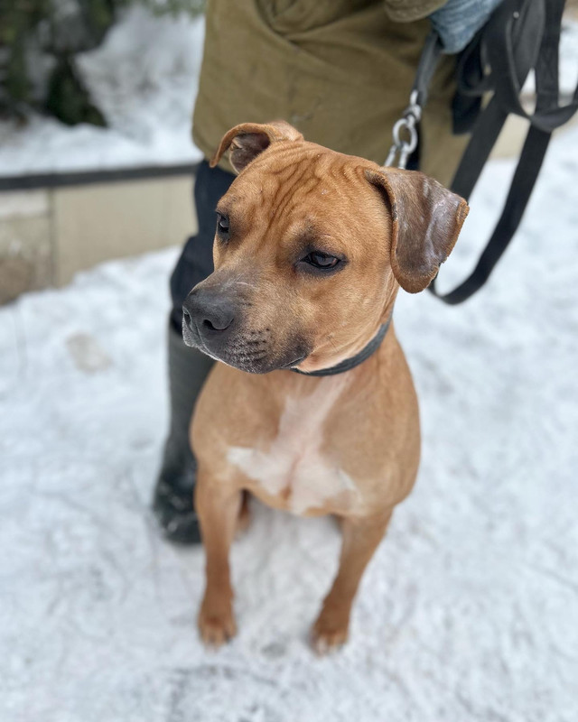 F0D9012B-7E6C-4956-ADB2-7A656ED3522C