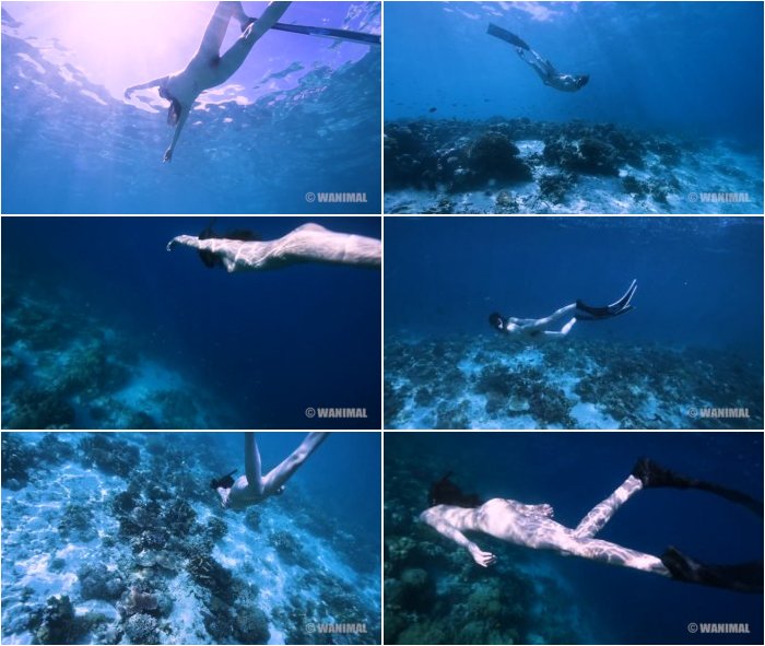 [Image: BLUE-3.jpg]