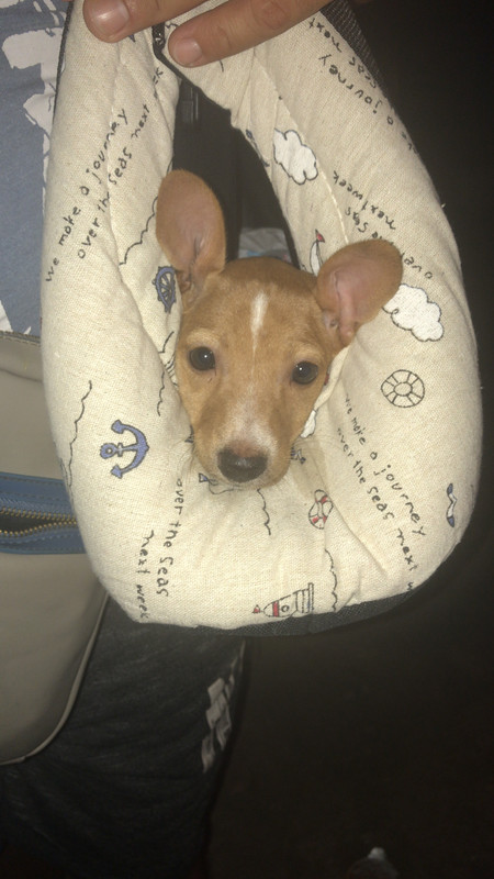 5071F489-8DE2-4E5A-898D-BBD47DE75D53