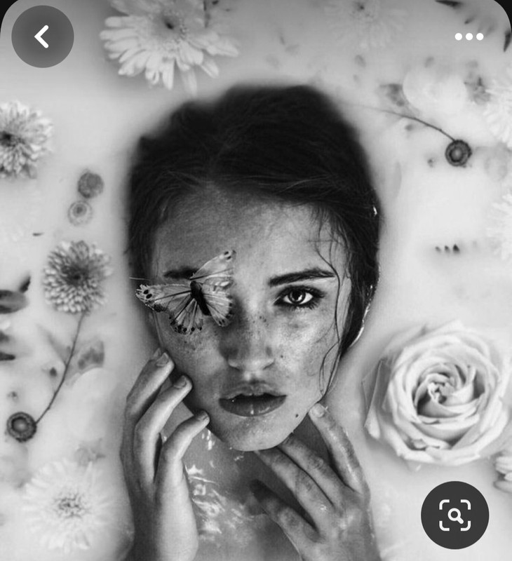 Screenshot_20231119_222758_Pinterest